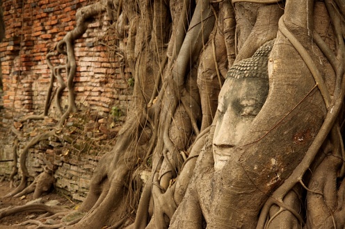 Thailand 2013/14 - diesmal aber richtig!, 2013